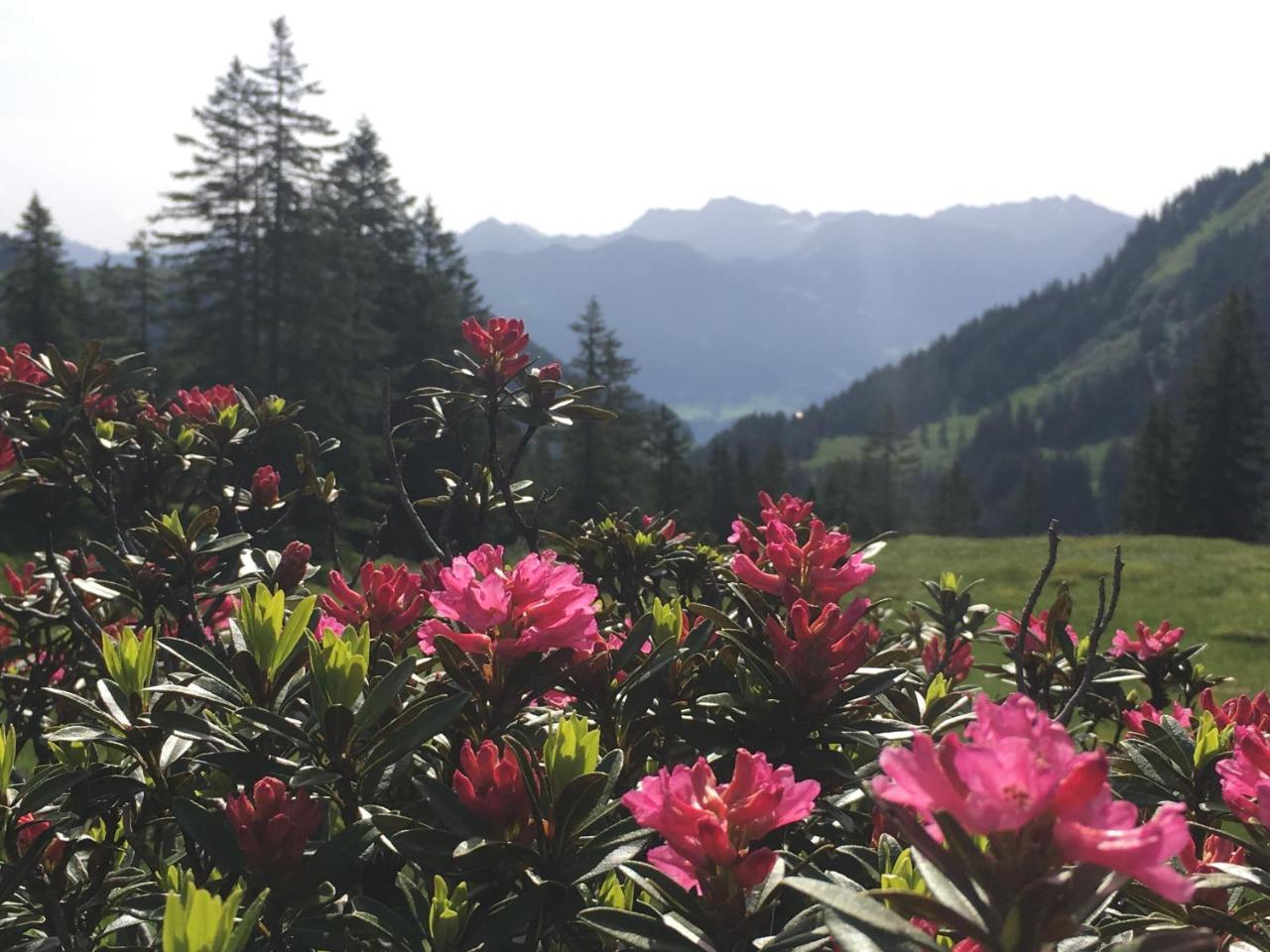 Auszeit Ferienwohnungen Obermaiselstein Exterior foto